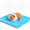 Meerschweinchen-Kuscheltier mit Gewichtsfüllung und Vibrationseffekt