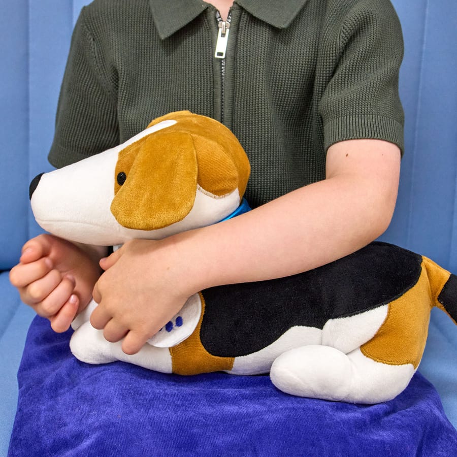 Hund-Gewichtskuscheltier